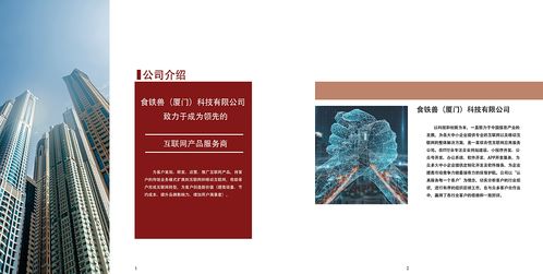 網絡科技公司產品項目及企業文化宣傳冊 紅色調